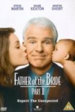 Father of the Bride Part II (1995)