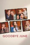 Goodbye June (2025) HD Full Movie Watch Online Free