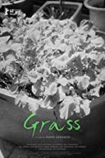 Grass (2018)