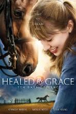 Healed by Grace 2 (2018)