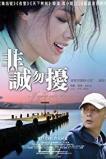 If You Are the One (2008) BluRay  Full Movie Watch Online Free
