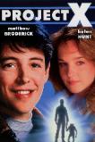 Project X (1987)