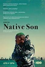 Native Son (2019)