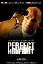 Perfect Hideout (2008)