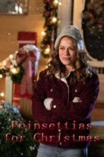 Poinsettias for Christmas (2018)