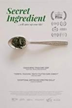 Secret Ingredient (2017)
