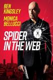 Spider in the Web (2019)