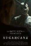 Sugarcane (2025) HD Full Movie Watch Online Free