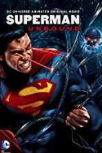 Superman: Unbound (2013)