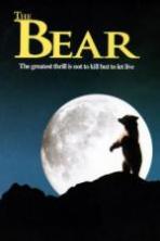 The Bear (1988)
