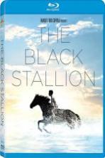 The Black Stallion (1979)