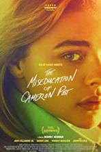 The Miseducation of Cameron Post (2018)