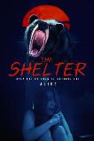 The Shelter (2026) HD Full Movie Watch Online Free