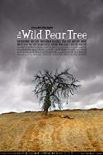 The Wild Pear Tree (2018)