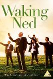 Waking Ned Devine (1998)