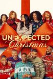 Unexpected Christmas (2025) HD Full Movie Watch Online Free