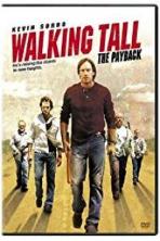 Walking Tall: The Payback (2007)