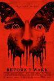 Before I Wake (2016)