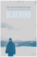 Bluebird (2013)