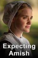Expecting Amish (2014)