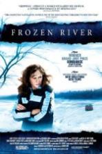 Frozen River (2008)