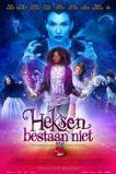 Witches Don't Exist (2014)