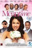 In the Meantime (2013)