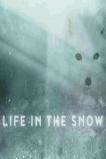 Life in the Snow (2016)