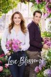 Love Blossoms (2017)