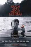 Much Ado About Nothing (2013)