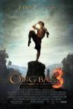 Ong Bak 3 (2010)