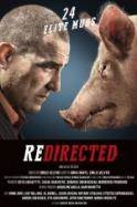 Redirected (2014)