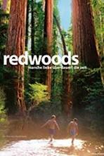 Redwoods