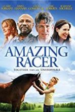 Amazing Racer (2009)