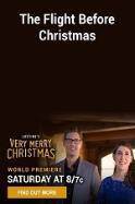 The Flight Before Christmas (2015)
