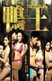 The Gigolo (2015)