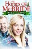 Christmas Rescue (2012) HD