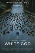 White God