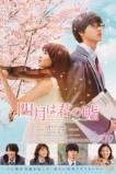 Your Lie in April (2016)