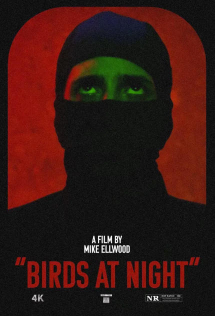 Birds at Night (2024)