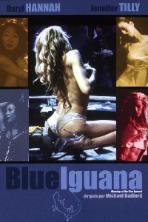 Dancing at the Blue Iguana (2000)