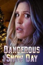 Dangerous Snow Day (2021)