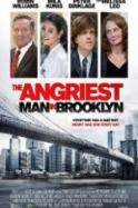 The Angriest Man in Brooklyn (2014)