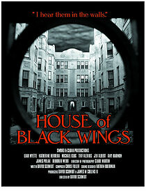 House of Black Wings