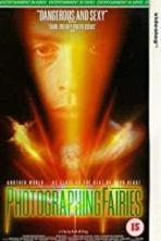 Photographing Fairies