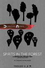 Depeche Mode: Spirits in the Forest (2019)