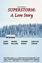 Superstorm: A Love Story