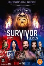 WWE Survivor Series (2020)